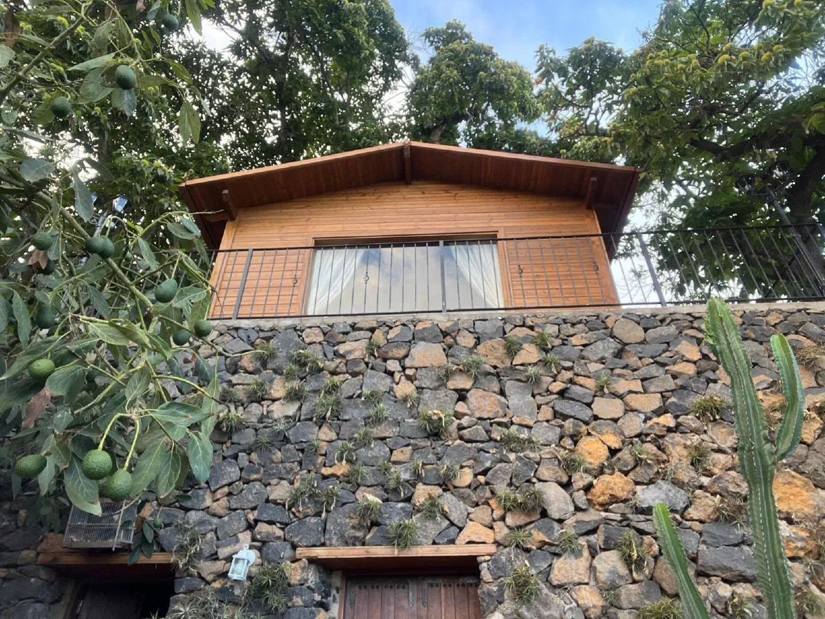 Fabulosa: wooden cabin seen from below, above a dry-stone wall and fruit trees