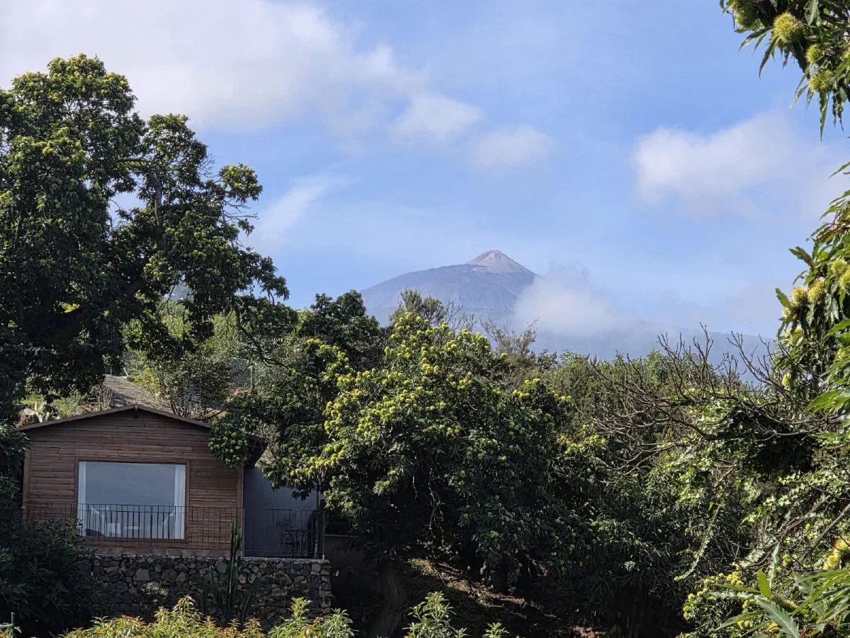 Wooden cabin among fruit trees with the Teide volcano rising behind the clouds